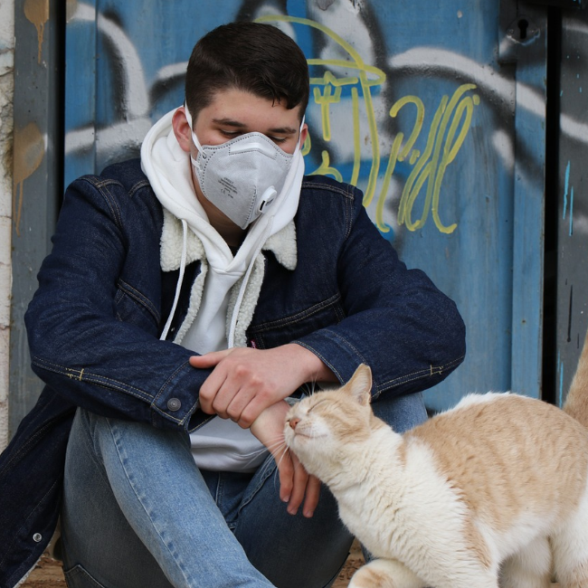 Können Katzen Corona bekommen?