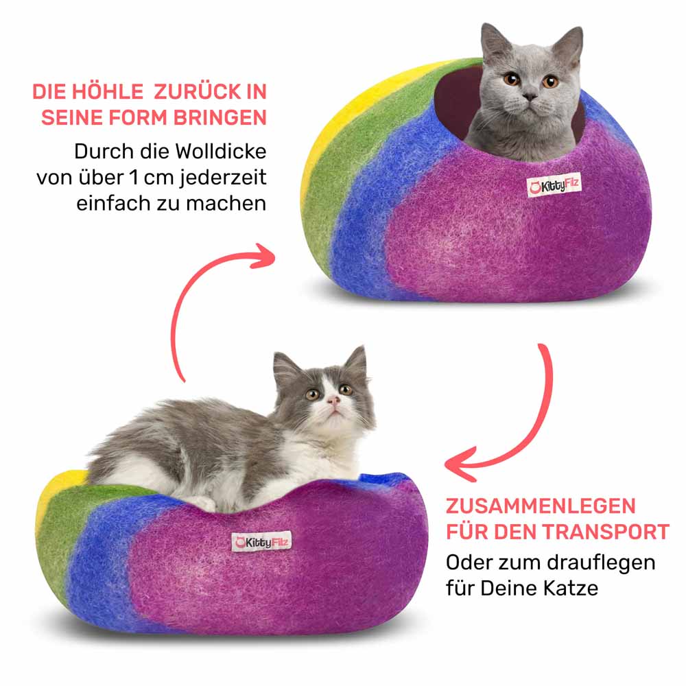 Katzenhöhle Regenbogen