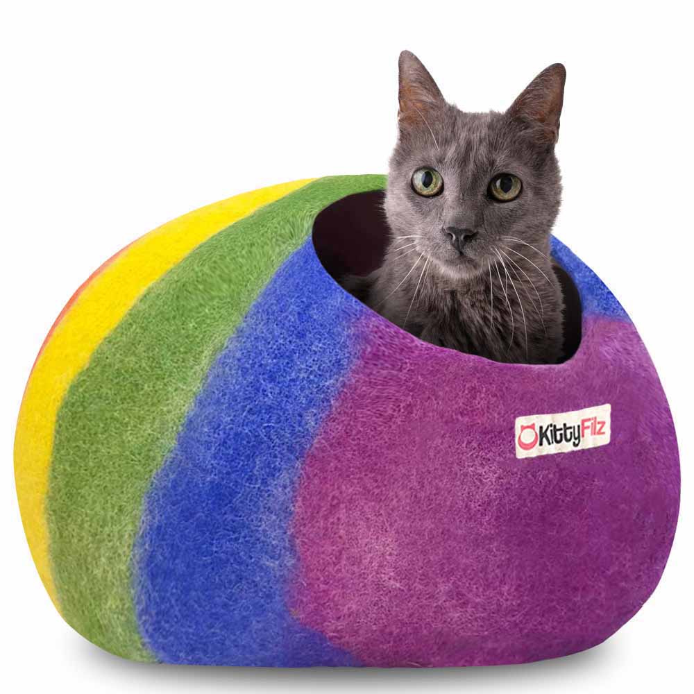 Katzenhöhle Regenbogen