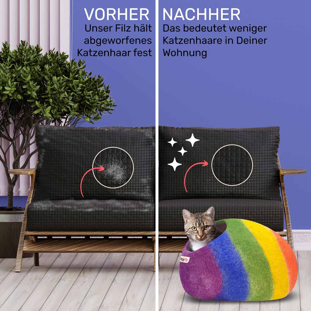 Katzenhöhle Regenbogen