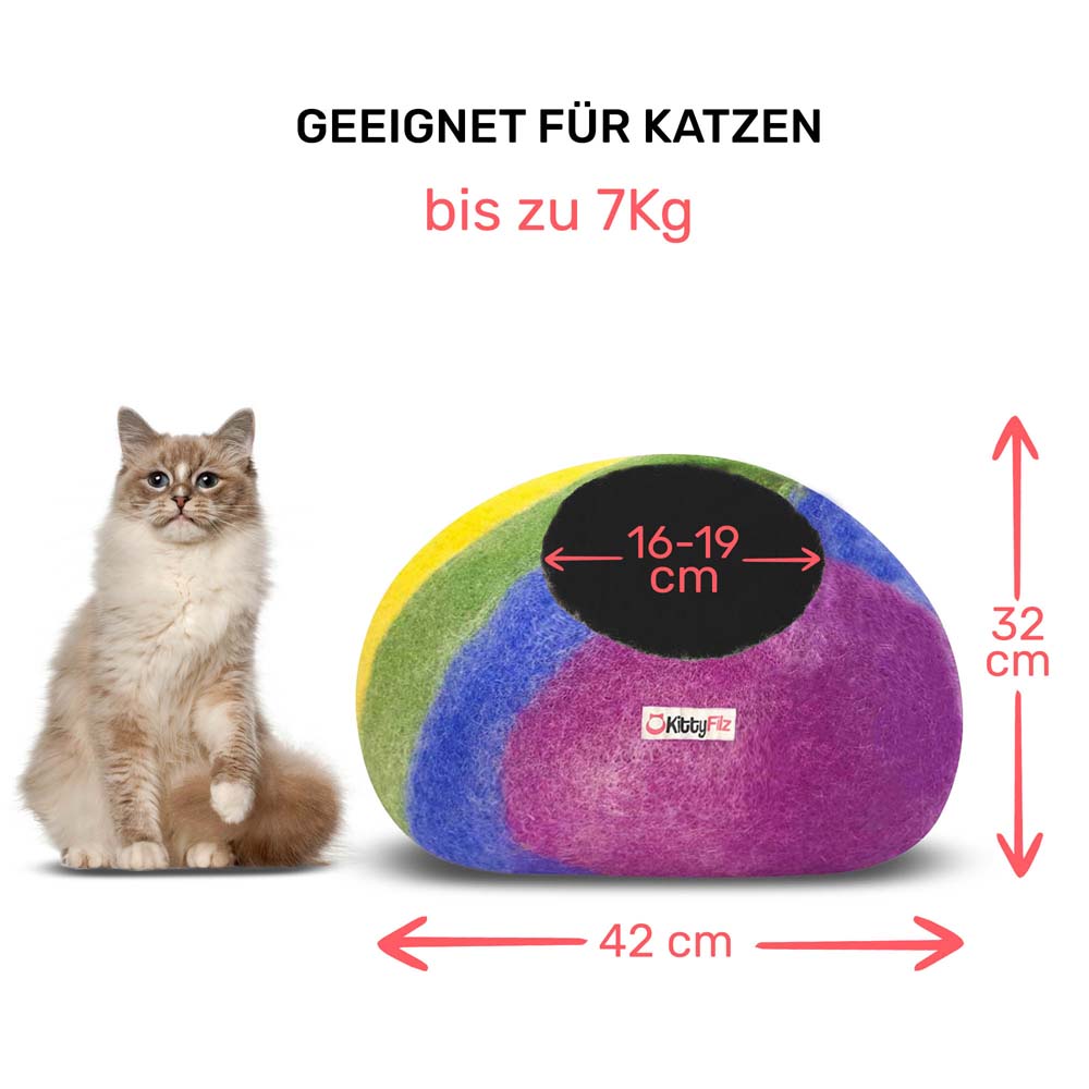 Katzenhöhle Regenbogen